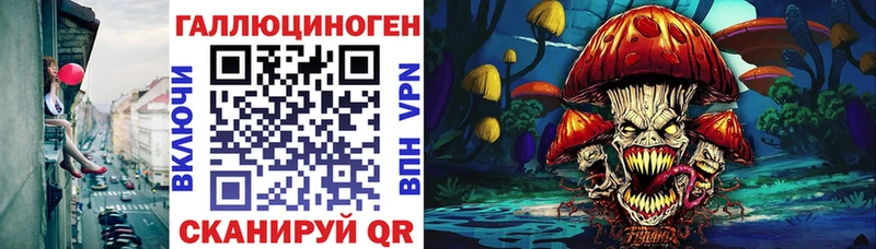 Псилоцибиновые грибы Psilocybine cubensis Шиханы